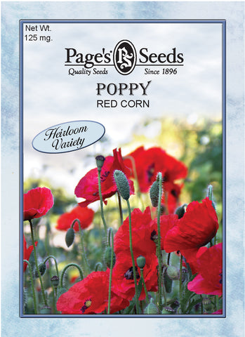 Poppy - Red Corn - Packet of Seeds