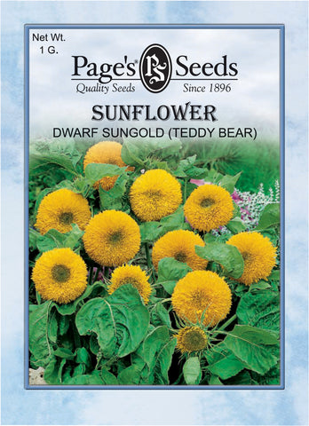 Sunflower - Dwarf Sungold (Teddy Bear) - Packet of Seeds