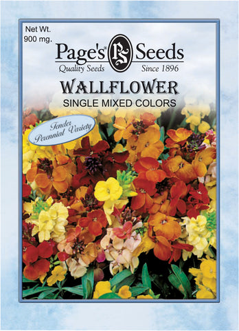 Wallflower - Single Mixed Colors - Packet of Seeds