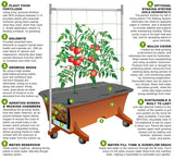 EarthBox Original Garden Kit